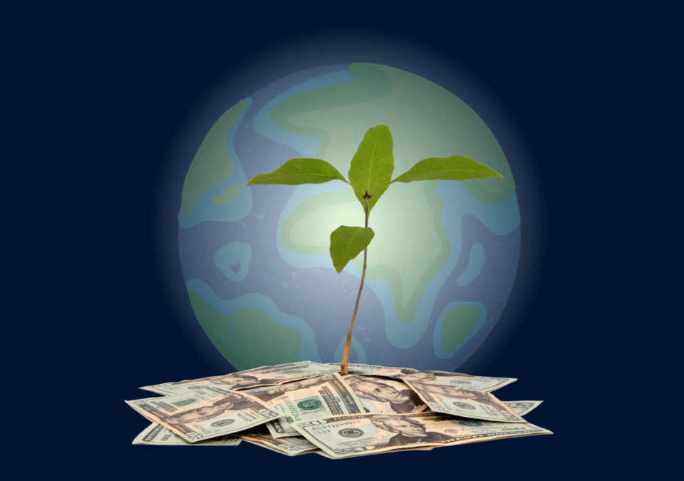 Affiliate Program